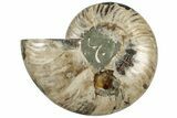 Cut & Polished Ammonite Fossil (Half) - Madagascar #308617-1